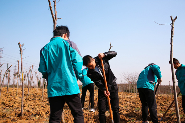 “攜手植樹，共創(chuàng)藍(lán)天”丨南京新華師生共筑新華育才林