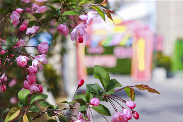 春暖花開(kāi)，等你歸來(lái)——邀你云賞南新春景，以慰思念