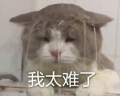 勁爆！新華電腦教育服務(wù)旗艦店正式入駐天貓，課程1折秒殺！