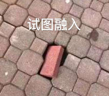 新華互聯(lián)網(wǎng)科技正式入駐Bilibili！會摩擦出什么樣火花呢？